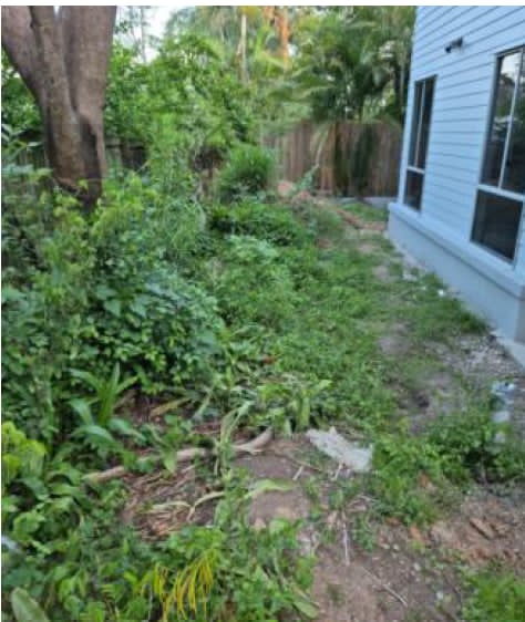 Overgrown side yard at the Newmarket property before the landscape transformation